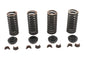 Valve Spring Kit