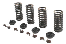 Load image into Gallery viewer, Valve Spring Kit