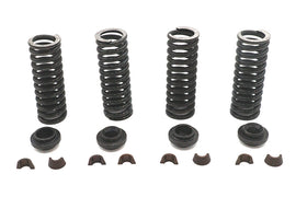 Eastern Parts side valve spring kit, includes multiple valve springs for engine performance, shown in the image.