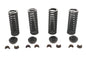 Valve Spring Kit