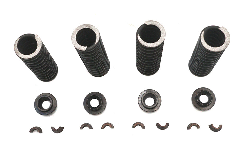 Valve Spring Kit