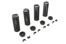 Load image into Gallery viewer, Valve Spring Kit