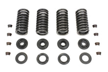 Load image into Gallery viewer, Valve Spring Kit