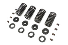 Load image into Gallery viewer, Valve Spring Kit