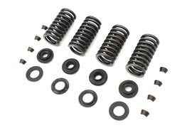 Eastern Parts side valve spring kit, includes multiple valve springs for engine repair, shown in the image.