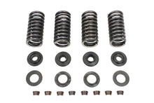 Load image into Gallery viewer, Valve Spring Kit