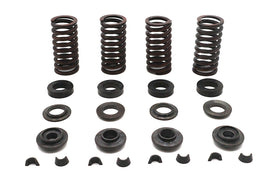 Eastern Parts side valve spring kit with multiple metal springs, designed for engine valve maintenance and performance.