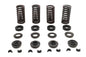 Valve Spring Kit