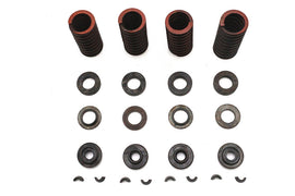 Eastern Parts side valve spring kit with multiple coil springs for engine valve maintenance, shown in the image.