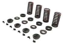 Load image into Gallery viewer, Valve Spring Kit