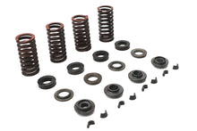 Load image into Gallery viewer, Valve Spring Kit