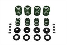 Load image into Gallery viewer, Valve Spring Kit Chrome