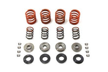 Load image into Gallery viewer, Valve Spring Kit