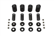 Load image into Gallery viewer, Sifton Valve Spring Kit