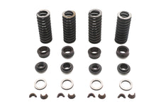 Load image into Gallery viewer, Valve Spring Kit