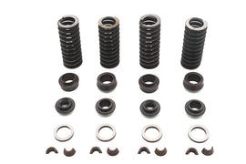 Eastern Parts Valve Spring Kit for K Model Sportster motorcycle engine showing metal valve springs and related components.