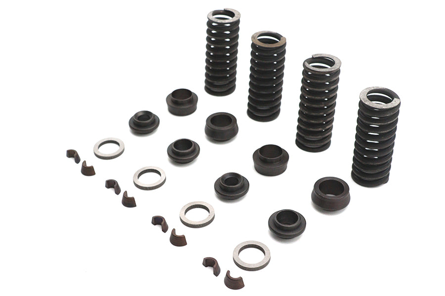 Valve Spring Kit
