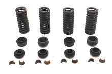 Load image into Gallery viewer, Valve Spring Kit