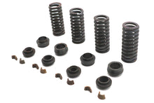 Load image into Gallery viewer, Valve Spring Kit