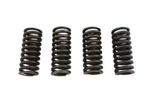Load image into Gallery viewer, Valve Spring Set