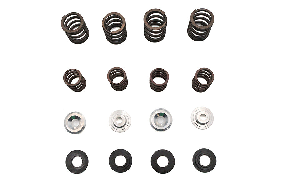 Valve Spring Kit