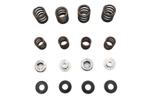 Load image into Gallery viewer, Valve Spring Kit