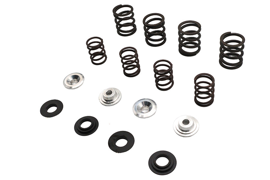 Valve Spring Kit