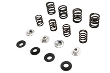 Load image into Gallery viewer, Valve Spring Kit