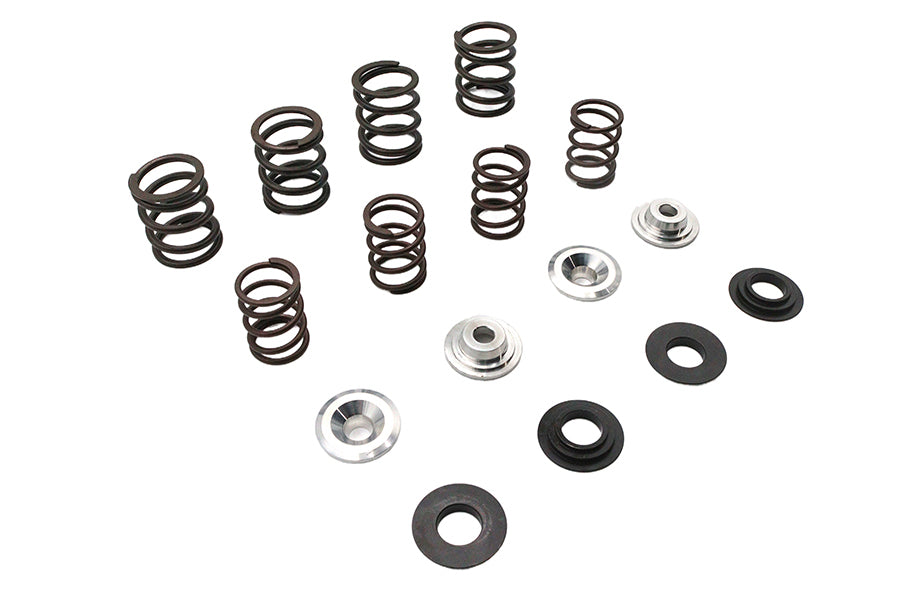 Valve Spring Kit