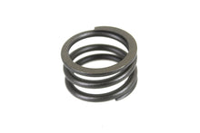 Load image into Gallery viewer, Fork Damper Tube Spring Set