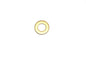 Oil Pump Adjuster Screw Gasket