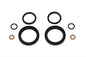 Fork Seal Kit
