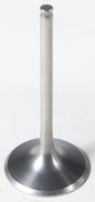 Intake Ti Valve
