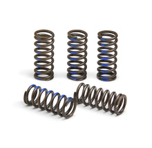 Load image into Gallery viewer, Clutch Springs