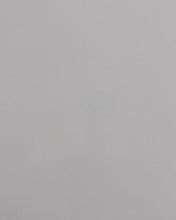 Load image into Gallery viewer, Cab Asylum Cage W/No Intrusion Ghost Grey