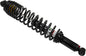 Gas Shock Rear