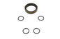Seal and O-ring Kit