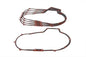 James Primary Gasket