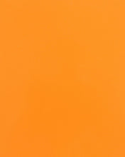 Load image into Gallery viewer, Baja Cage W/V Intrusion Orange