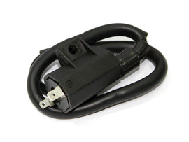 Atv Ignition Coil