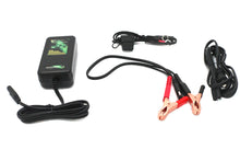 Load image into Gallery viewer, Skyrich Automatic Battery Charger