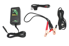 Load image into Gallery viewer, Skyrich Automatic Battery Charger