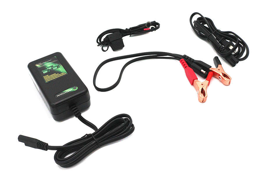 Skyrich Automatic Battery Charger