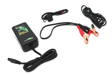 Load image into Gallery viewer, Skyrich Automatic Battery Charger