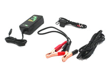 Load image into Gallery viewer, Skyrich Automatic Battery Charger