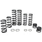 Dual Rate Spring Kit Pol