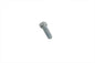 Screw for Ratchet Top