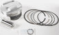 Piston Kit Armorglide 93.00/Std 10.6:1 Pol