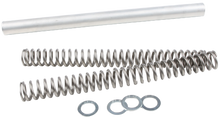 Load image into Gallery viewer, Fork  Spring  0.44kg