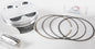 Piston Kit Armorglide 95.50/Std 12:1 Suz